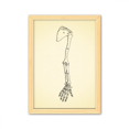 thumbnail image 1 of Cuerpo humano boceto mano hueso del brazo Cuadro de madera decorativa marco de casa A4, 1 of 3