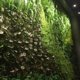 thumbnail image 5 of Gosear, bolsas de plantación verticales colgantes montadas en la pared, maceta de cultivo verde con 36 bolsillos para pared del hogar, balcón, jardín, suministro negro Ormromra WL-00482-1, 5 of 7