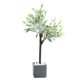 thumbnail image 1 of Mini Plant Miniature Potted Plants Bonsai Decoration Suitable 1:6 1:8 1:12 Accessories,Black, 1 of 5