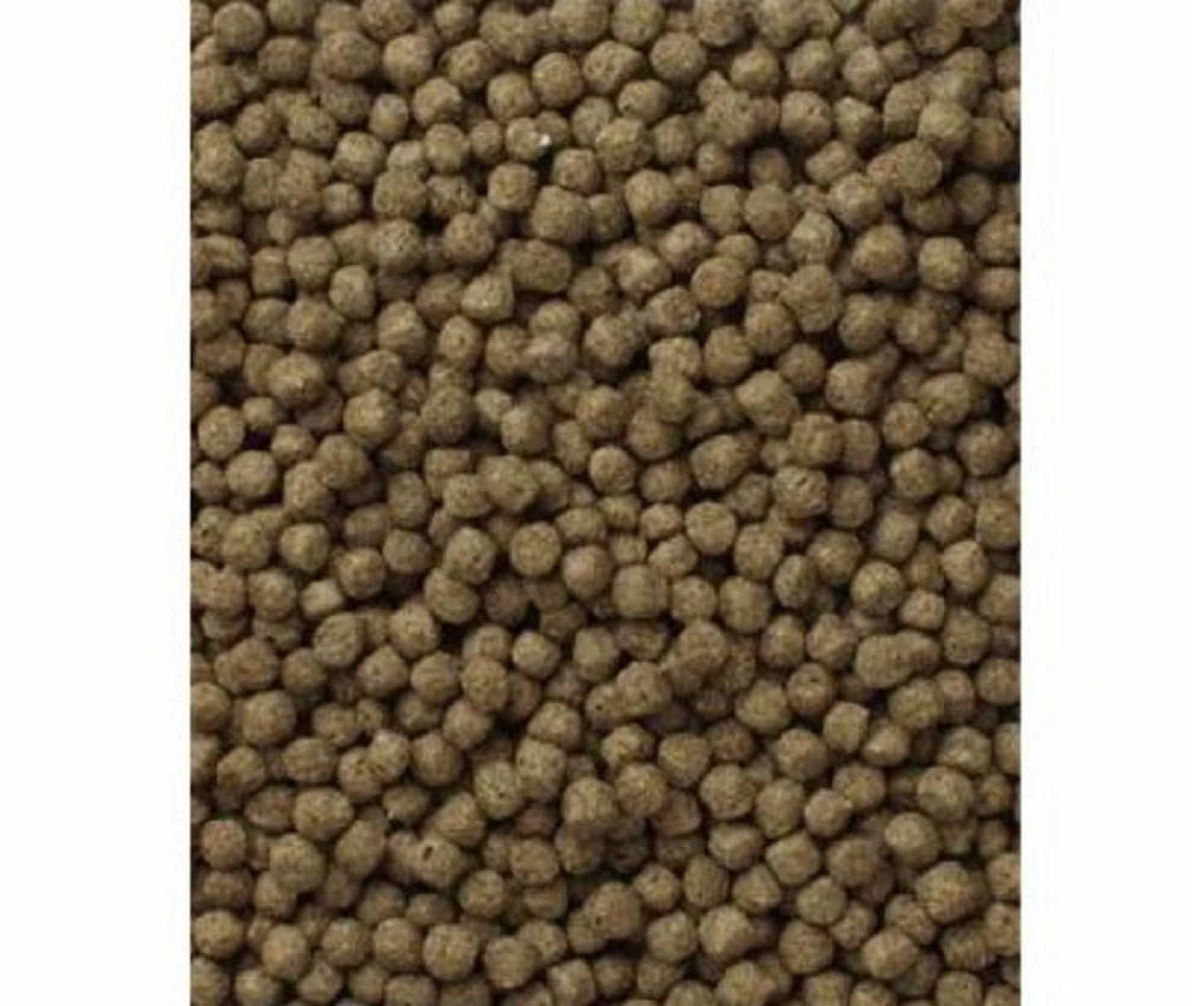 Mazuri Koi Pond Nuggets Floating Fish Food, 20 lbs photo 2