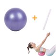 thumbnail image 1 of Pilates Small Exercise Ball,Yoga Ball, Pilates Ball - Small Core,Fitness Ball, with Inflation Straw,Durable Exercise Ball for Yoga, Core Training, Physical Therapy, Balance, 1 of 8