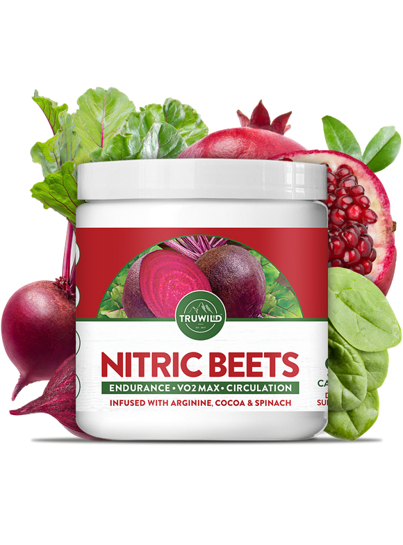 Nitric Oxide in Protein