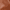 Cognac, variant on Time and Tru Women's Western Heel Mules