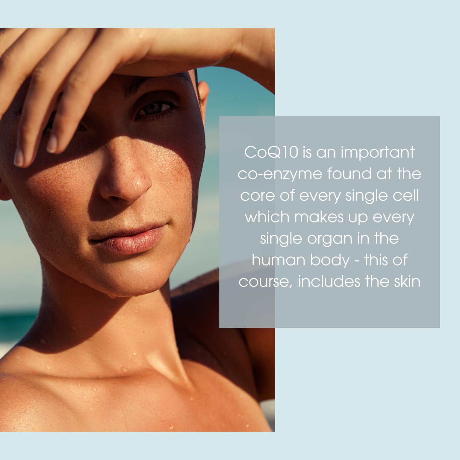 Consult Beaute Xterna-Q Topical CO-Enzyme Q10 Universal Anti-Aging Serum for Face and Neck 1 oz. - CoQ10 Peptides - Bergamot Fruit Oil - Antioxidant Skin Care