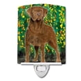 thumbnail image 1 of Carolines Treasures SS8969CNL Chesapeake Bay Retriever Ceramic Night Light, 1 of 2