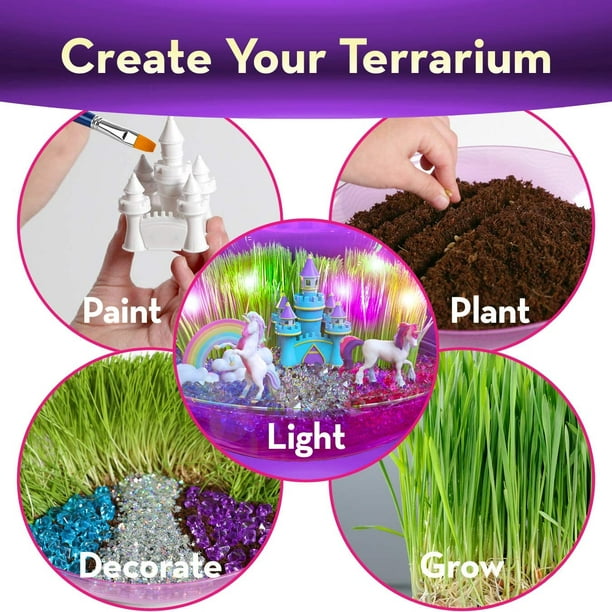 Déco vivante : terrarium qui ne casse pas pour les enfants - La boutique