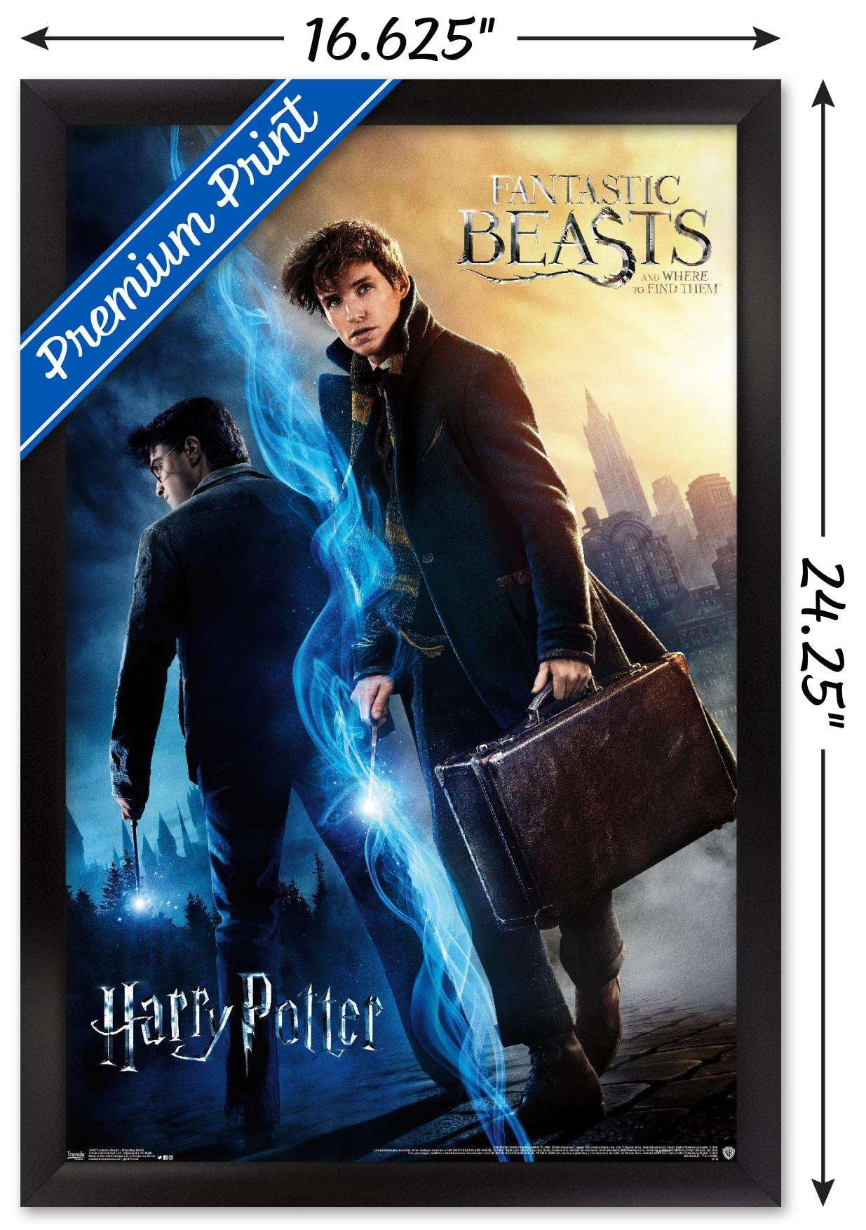 The Wizarding World: Harry Potter and Fantastic Beasts Wall Poster, 14.725" x 22.375", Framed