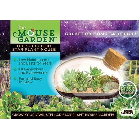 Unique Gardener - The Succulent Star Mouse - Indoor Micro-Gardening Kit