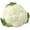 Style2, variant on Yvsxxv Artificial Broccoli Display Model, PU Fake Vegetable Kitchen Decor Prop