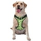 thumbnail image 1 of Fotbe dogs St Patrick's Day Arnés para Perro con Estampado –Chaleco Ajustable Acolchado con Asa de Control para Perros Grandes-Large, 1 of 6