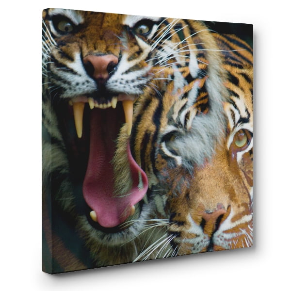 Tiger Canvas Wall Art Home Decor Walmart Com Walmart Com