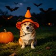 thumbnail image 4 of Cififendec Halloween Pet Witch Hat, 5.91"×5.31", Adjustable Pumpkin Style Costume Accessory for Party Photo Shoot Yard Dress Up Spooky Season Pet Accent, 4 of 5