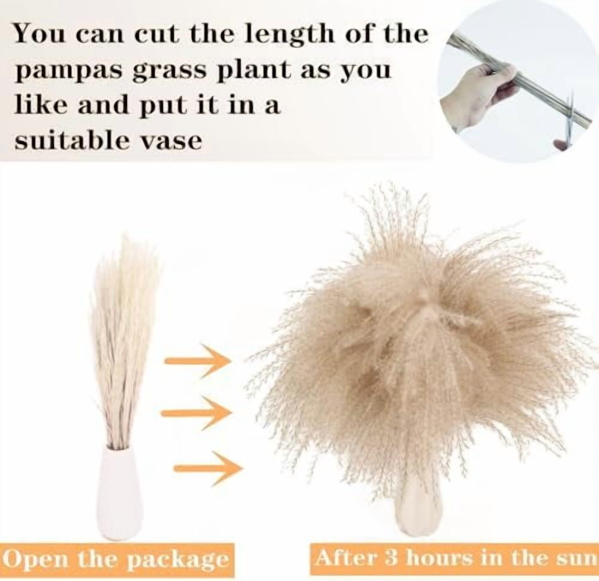 Dried Pampas Grass Decor, 128PCS Pampas Grass with Bunny Tails Dried Flowers, Reed Grass Bouquet for Wedding, Boho Flowers, Home Table Decor, Rustic Farmhouse Party