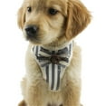 thumbnail image 1 of TIMIFIS Dog Clothes Coat Jackets Pet Dog Traction Rope Puppy Strap Control Walk Leash Vest Dog CollarFall/Winter, 1 of 3