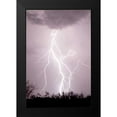 thumbnail image 2 of Taylor, Douglas 17x24 Black Modern Framed Museum Art Print Titled - Dancing Lightning, 2 of 5