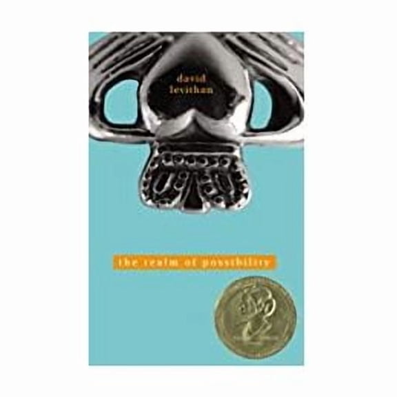 The Realm of Possibility (Paperback) by David Levithan