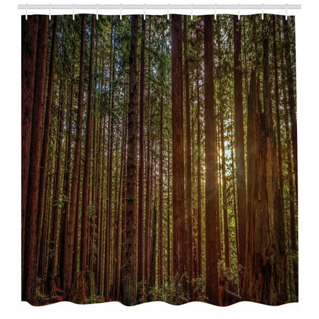 Forest Shower Curtain, Redwood Forest in California USA Nature Outdoors Landscape Woods Park, Fabric Bathroom Set with Hooks, Redwood Green Yellow, by