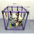 thumbnail image 4 of Puppy Play Gym for Small Dogs with 8 Hanging Toys, Jungle Playground with Interactive Funny Enrichment Toys to Keep Them Busy, 4 of 7