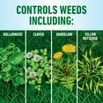 thumbnail image 5 of Roundup for Lawns₄ Ready-to-Use (Southern), Weed Killer 1 gal., 5 of 13
