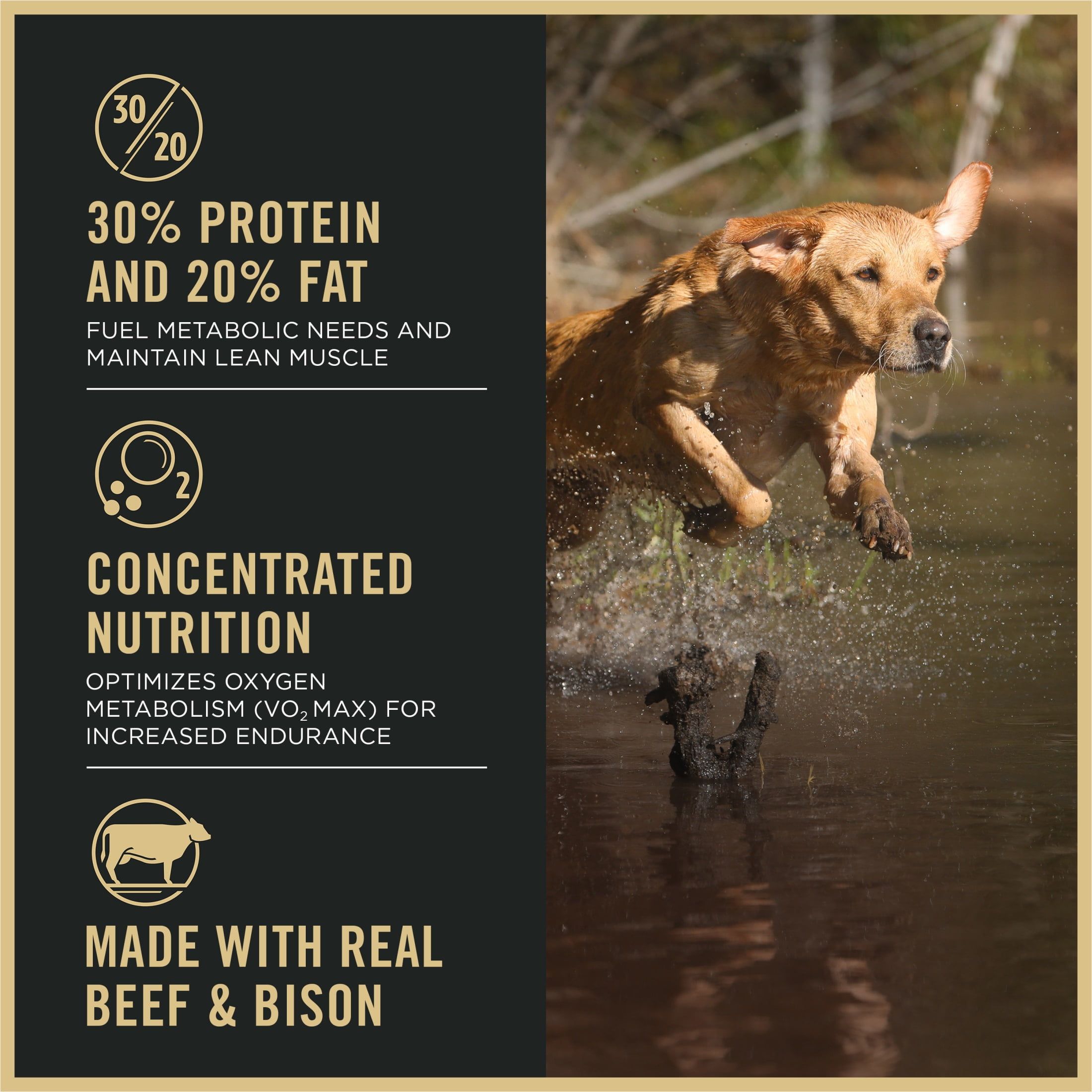 Purina Pro Plan Dog Food Sport Performance High Protein Beef and Bison Dry Dog Food, 33 lb Bag
