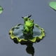 thumbnail image 4 of De Rana, Estatua De Ranas Flotantes De Resina, Ornamento, Decoración De Estanque De Jardín, Escultura De Rana Verde Para El Hogar, Escritorio, Decoración De Jardín matsuzay HA043481-03, 4 of 6