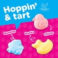 thumbnail image 2 of SweeTARTS Chicks, Ducks & Bunnies, Easter Candy, 10 oz, 2 of 8
