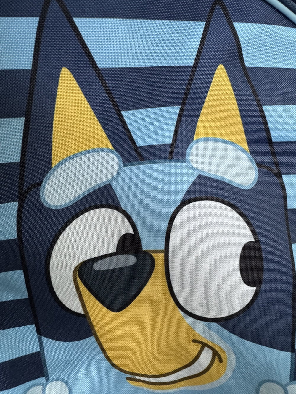 Bluey Big Face 16" Large Backpack