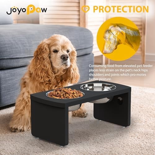 Elevated Dog Bowls, Waterproof Raised Dog Bowl for Medium Dogs, HIPS Poly Lumber Stand with 2 Stainless Steel Bowls, Indoor & Outdoor Use (7'' Tall-40 oz Bowl, Black)