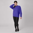 thumbnail image 7 of Hanes Men's and Big Men's EcoSmart Fleece Sweatshirt, Sizes S-5XL, 7 of 7