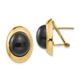 thumbnail image 1 of 14K Yellow Gold Onyx Fancy Earrings, 1 of 2