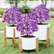thumbnail image 1 of Inserto de simulación de flor para simulación de orquídeas artificiales - Arbusto de jardín exterior de plástico de 40 cm, decoración para el sendero de la escena de la boda, múltiples opciones de, 1 of 6