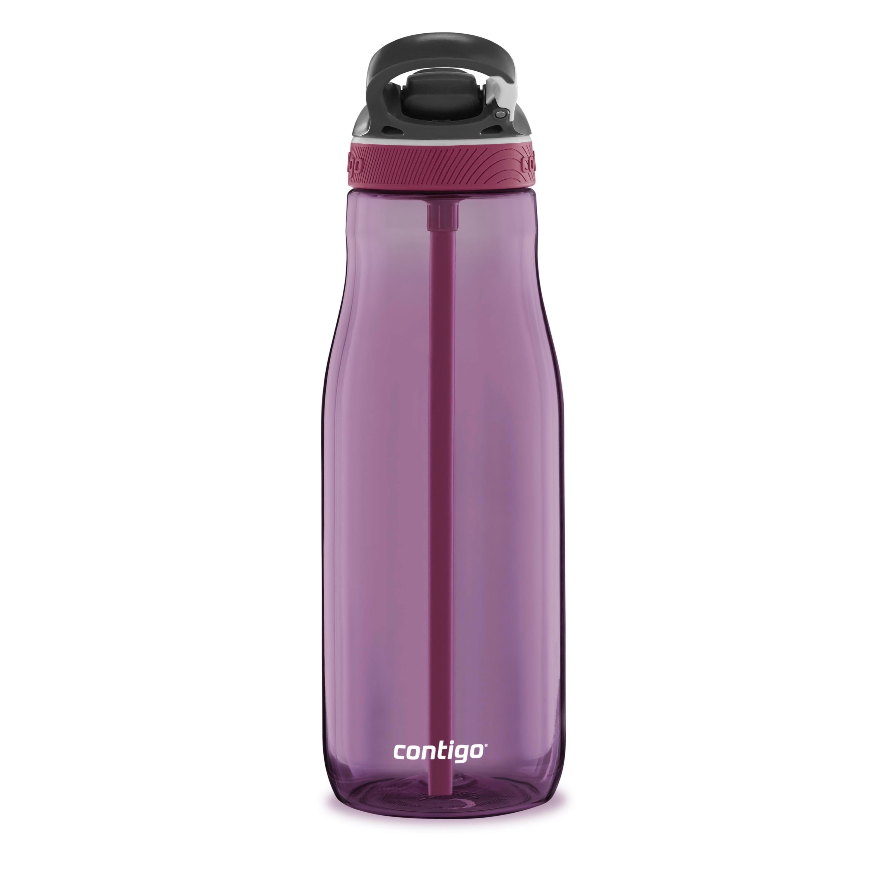 Contigo Avex 25 oz Wells Autospout Water Bottle - Purple Reviews 2023