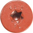 thumbnail image 4 of Tornillos para Madera FastenMaster Flatlok #40 Torx Tap 9x89mm, 4 of 4