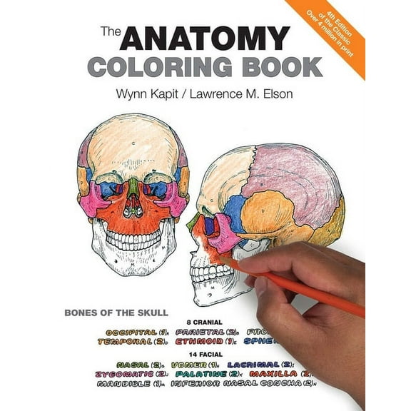 The Anatomy Coloring Book (Paperback)