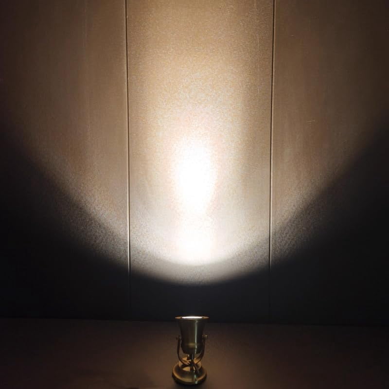 KAYYELAMP Brass Adjustable Flood Light GU10 Warm White Spot Lighting 9.8ft Plug in Cable with Foot Pedal for Living Room Picture Focusing Lamp 1Pcs Vintage