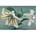 thumbnail image 2 of Kazumasa, Ogawa 18x13 White Modern Wood Framed Museum Art Print Titled - Lily V, 2 of 4