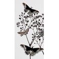 thumbnail image 2 of Boho Hue Studio 14x24 White Modern Wood Framed Museum Art Print Titled - Dark Butterflys 1, 2 of 4