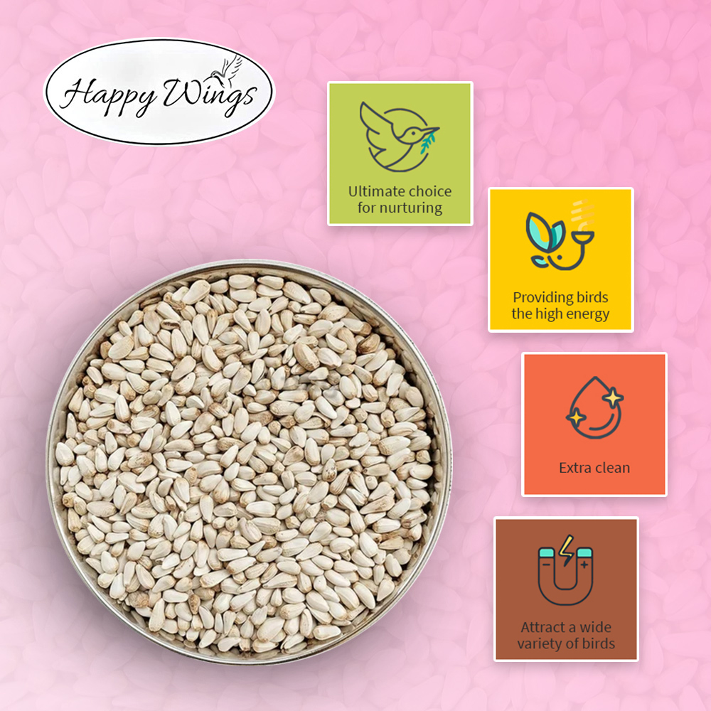 Happy Wings Safflower Seed Wild Bird Food, 4 Lb photo 2