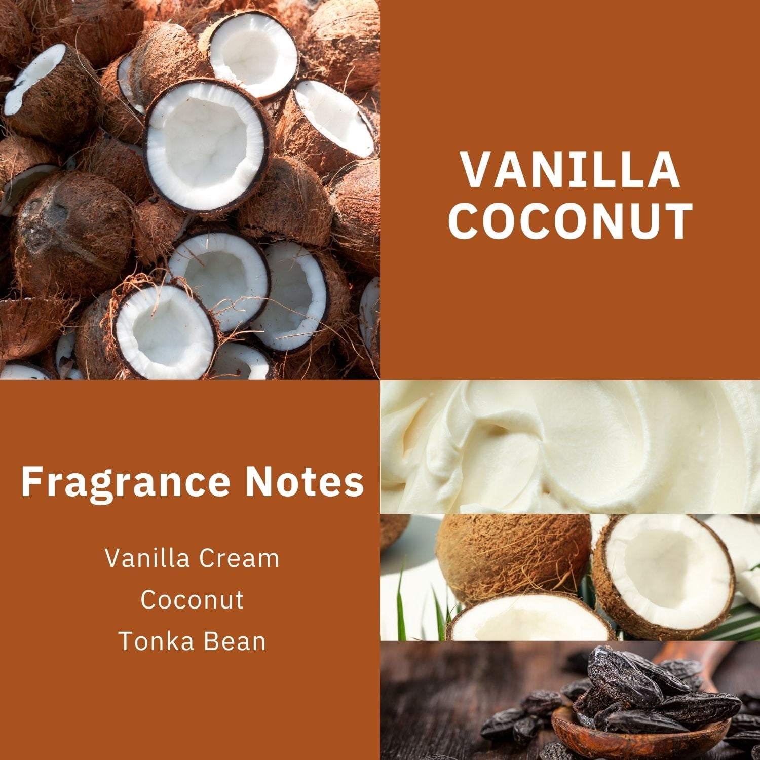 Scentworx Vanilla Coconut 3 Pack Hang Tag