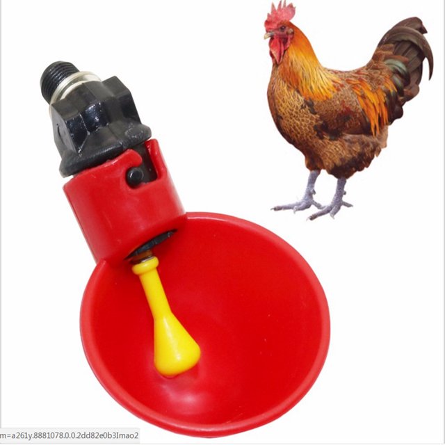 Taza de agua para pezones de pollo, cuenco colgante de codorniz, bebedero de agua automático para pájaros, taza para patio trasero, rebaño de pollos, bebedero para aves de corral, 2 uds. TUNC Sencillez