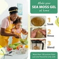 thumbnail image 3 of TrueSeaMoss Wildcrafted Irish Sea Moss Sun-Dried Seaweed, 8 oz, Raw Texture, Sea Vegetable, 3 of 8