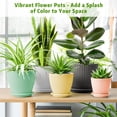 thumbnail image 5 of 5-Pack Plastic Plant Pots with Drainage Holes and Saucer Trays, 7.5/6.7/6/5/4.1 Inch Flower Pots, Multicolor Planters for Indoor & Outdoor Plants, 5 of 8