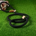 thumbnail image 1 of OULII Pet Training Lead Blue Nylon with Metal Buckle and Sturdy Design for Medium Dogs, 1 of 8