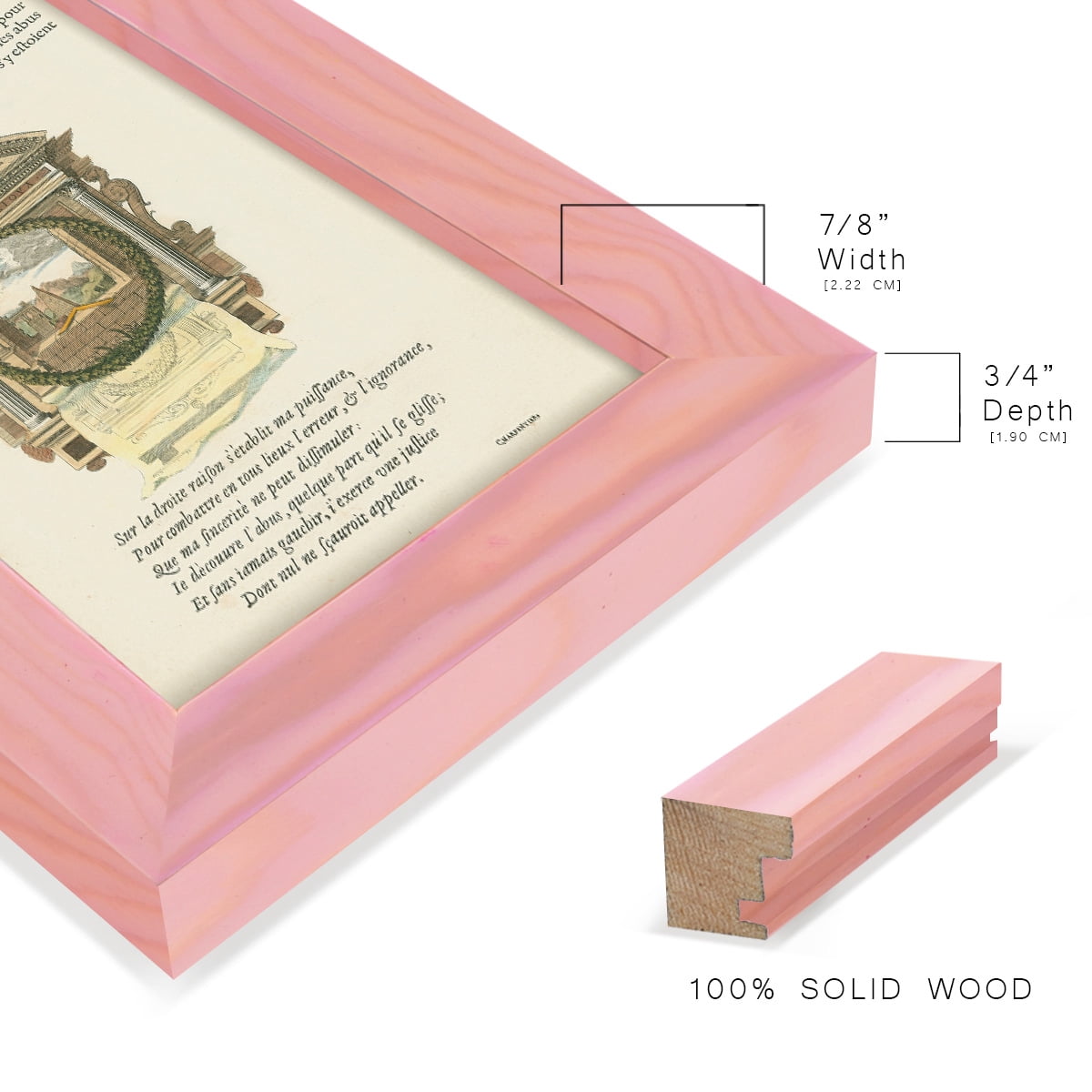 Printed Embellished Bookplate I - Framed Print w/glass - Sunset Pink