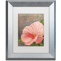 Trademark Fine Art "Peach Hibiscus" Canvas Art by Color Bakery White Matte, Silver Frame