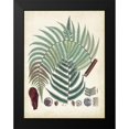 thumbnail image 2 of Unknown 19x24 Black Modern Framed Museum Art Print Titled - Collected Ferns I, 2 of 5