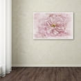 thumbnail image 4 of Trademark Fine Art 'Cherry Blossom' Canvas Art by Cora Niele, 4 of 4