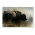 thumbnail image 2 of Trademark Fine Art Jai Johnson Abstract American Bison Canvas Wall Art - 12x19, 2 of 4