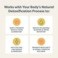 3 Day Cleanse Reviews Renew Life Renew Life Colon Cleaner Detox Natural Cleanser, 3-Day Total Body Reset