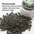 thumbnail image 5 of Mix Horticultural Lava Pebbles Pumice Potting Soil Amendment Succulent Cactus Bonsai Gritty Rock Decorative Gravel Plant Drainage Volcanic Rock for Terrarium Fairy Gardening Top Dressing 2.2lb, 5 of 7